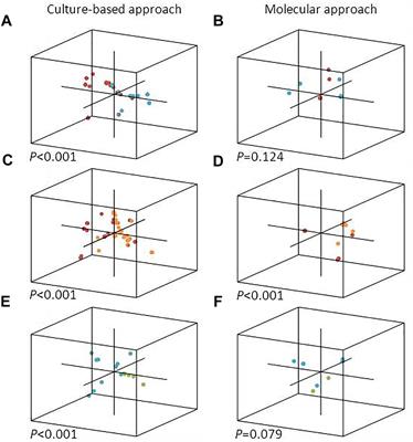 Bacterial Epibiotic Communities of Ubiquitous and Abundant Marine Diatoms Are Distinct in Short- and Long-Term Associations